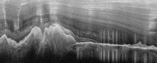 Mountain Range Hiding Beneath Antarctica's Ice Frozen in Time, Study Finds