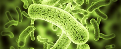 Scientists Engineer Bacteria to Make Soil And Crops 'Glow' Different Colors