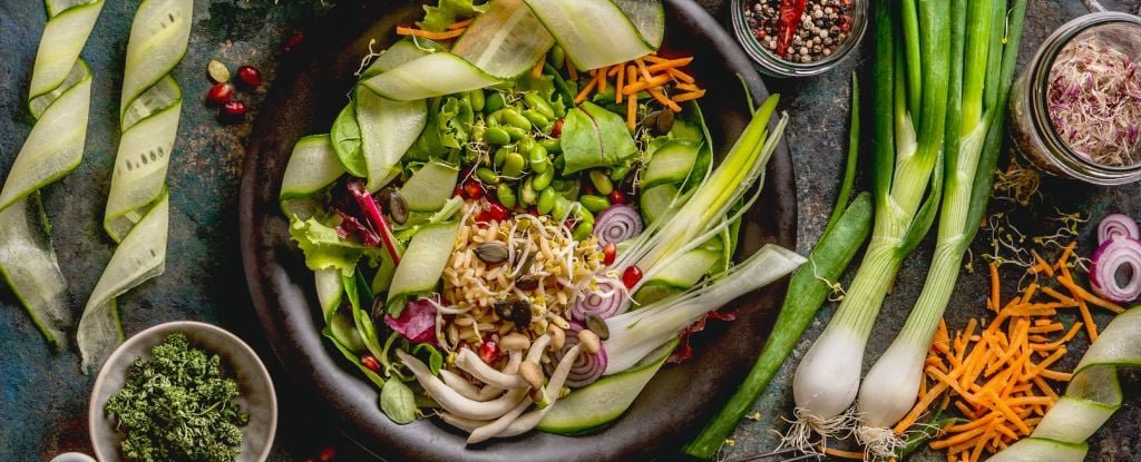 Plant-Based Diets Associated With Reduced Risk of Major Diseases, Large Study Finds