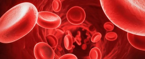Scientists Have Found a Way to Switch on a Dormant Gene in Human Red Blood Cells