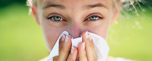 'Perfect Storm': Expert Reveals Why Pollen Allergies Are Getting Worse