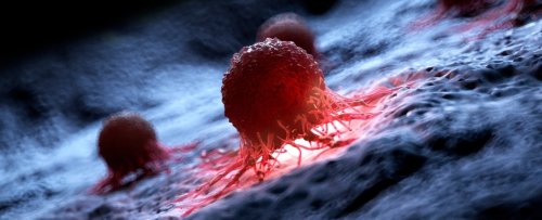 Scientists Destroy 99% of Cancer Cells in The Lab Using Vibrating Molecules