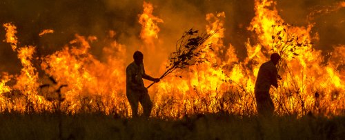 Extreme Wildfires Have Doubled in Just Two Decades