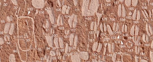 Prehistoric Carvings Are So Accurate, Animals' Sex, Age, And Species Can Be Determined
