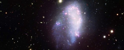 These Dwarf Galaxies Seem to Be Devoid of Dark Matter, And It Doesn't Make Sense
