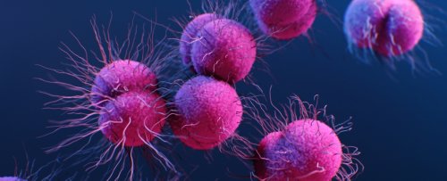 Newly Discovered Antibiotic Could Fight One of The Nastiest Superbugs