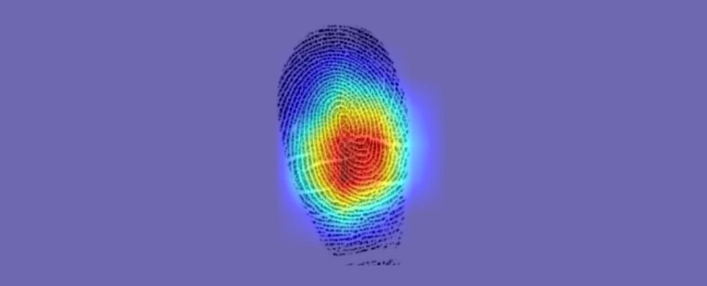 Groundbreaking Study Reveals Your Fingerprints Aren't as Unique as We Thought