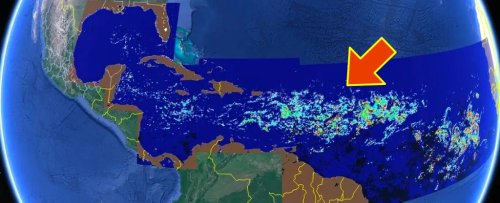 Satellites Reveal Sheer Size of Record-Breaking Algae Bloom Approaching Florida