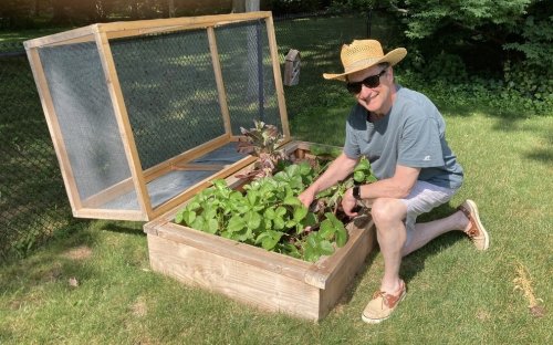 Expert Gardeners Give Tips For Your Summer Vegetable Patch