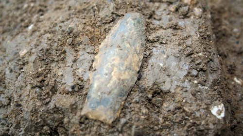 This stone spear tip may have belonged to the first Americans | Science | AAAS