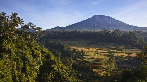 Just 19% of Earth’s land is still ‘wild,’ analysis suggests