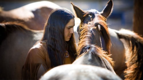 Native Americans corralled Spanish horses decades before Europeans arrived