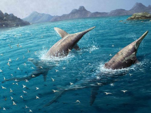 Des restes d'un ichtyosaure géant découverts sur les côtes anglaises pourraient appartenir au plus grand reptile marin connu