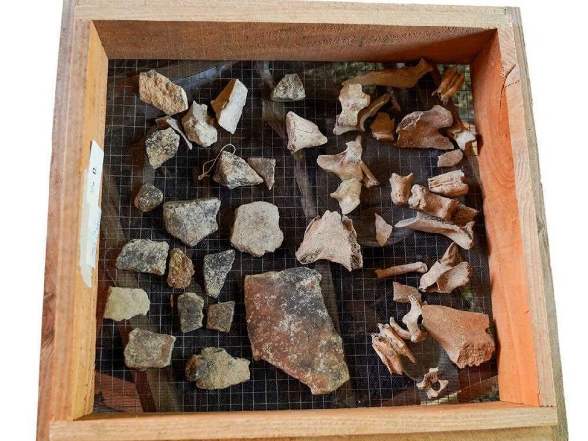 La Mangeoie révèle ses trésors néolithiques