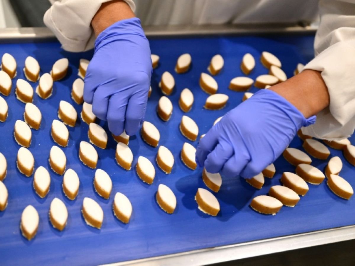 En Provence, champ libre pour l’essor de l’amande et de la pistache