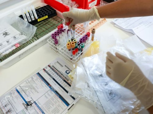 Avoir le chikungunya une deuxième fois? En pleine épidémie, la question agite La Réunion