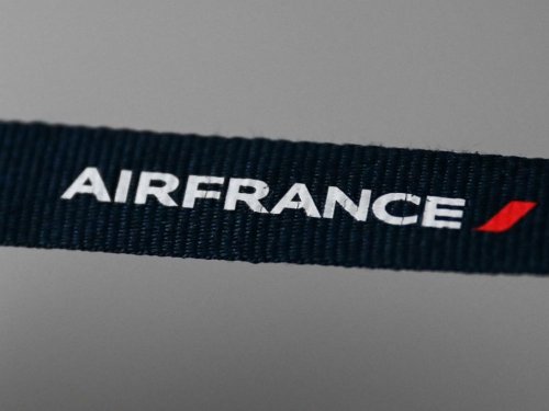 Air France ne transportera plus de primates vers des laboratoires - Sciences et Avenir