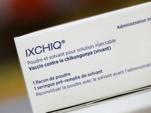 Chikungunya à La Réunion et Mayotte: les autorités retirent de la vaccination les plus de 65 ans