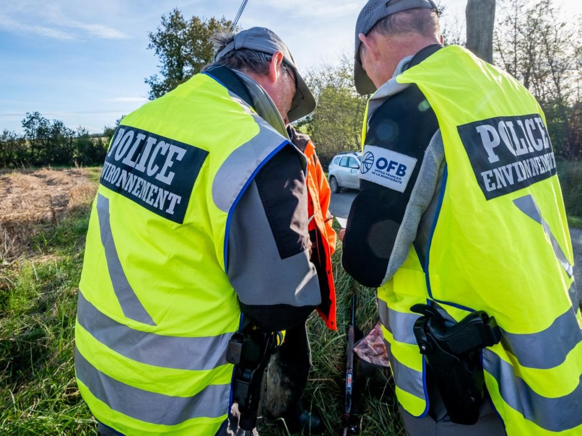 Pourquoi l’Office français de la biodiversité, « police de l’environnement », est attaquée de toutes parts