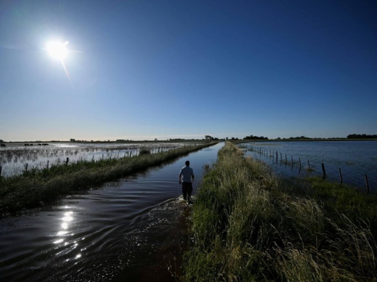 Pluies records, infrastructures en jachère: quand la pampa argentine se noie