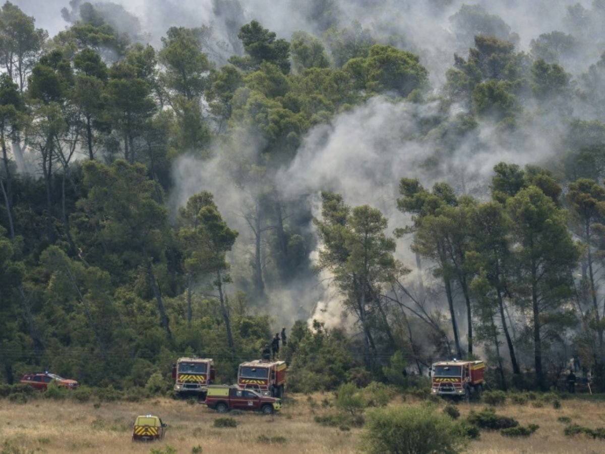 À Saint-Laurent-de-la-Cabrerisse, le désespoir des vignerons sinistrés par le feu