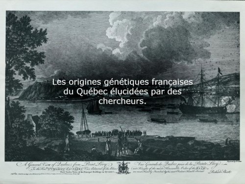 Origines françaises du Québec, traité contre la pollution plastique et chatbot de TikTok - Sciences et Avenir