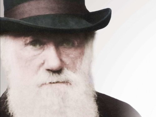 L'évolution, une révolution menée par Darwin - Sciences et Avenir