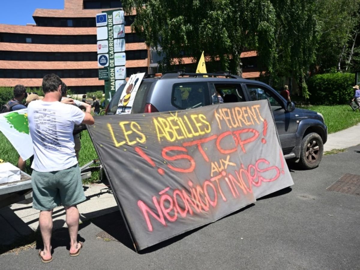Loi Duplomb: des milliers d’opposants au texte mobilisés ce weekend en France