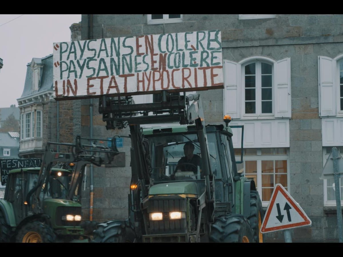 Crise de la filière bio : plongeon dans la réalité d’un agriculteur « Sur la paille »