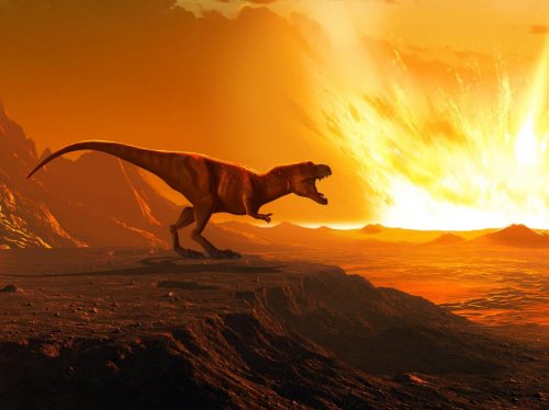 L'extinction des dinosaures a changé la forme des plantes - Sciences et Avenir