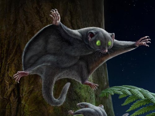 Quand les mammifères se faisaient discrets face aux dinosaures : la preuve dans leur fourrure