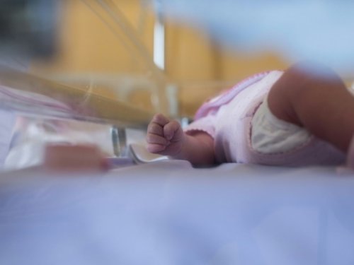 Nouvelle-Zélande: la garde d'un bébé malade retirée à ses parents qui refusaient du "sang vacciné" - Sciences et Avenir