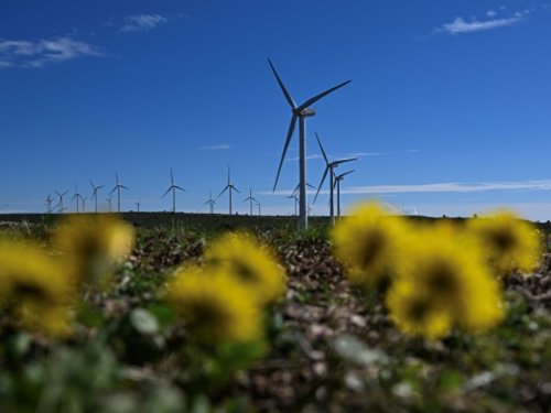 Hérault: des éoliennes sur le banc des accusés pour la mort d'oiseaux protégés