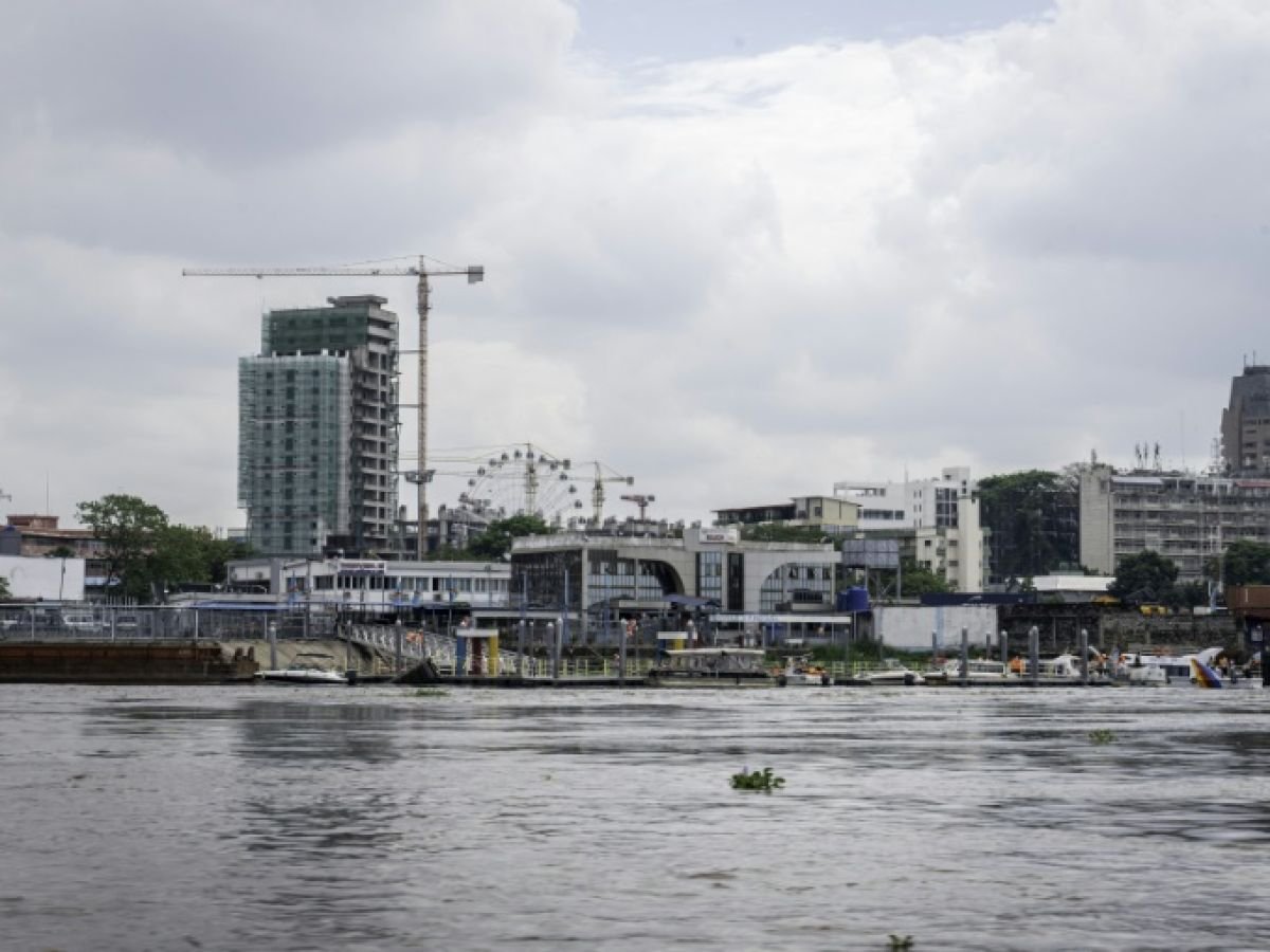 A Kinshasa, des terres agricoles englouties par le béton