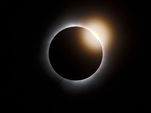 L'intrigante réponse des oiseaux lors d'une éclipse totale de Soleil