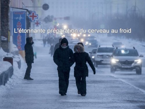 Souvenir du froid, trous noirs et plats préparés : l’actu des sciences