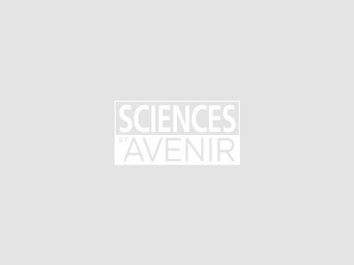 Greenwashing: TotalEnergies visé par une enquête à Nanterre - Sciences et Avenir