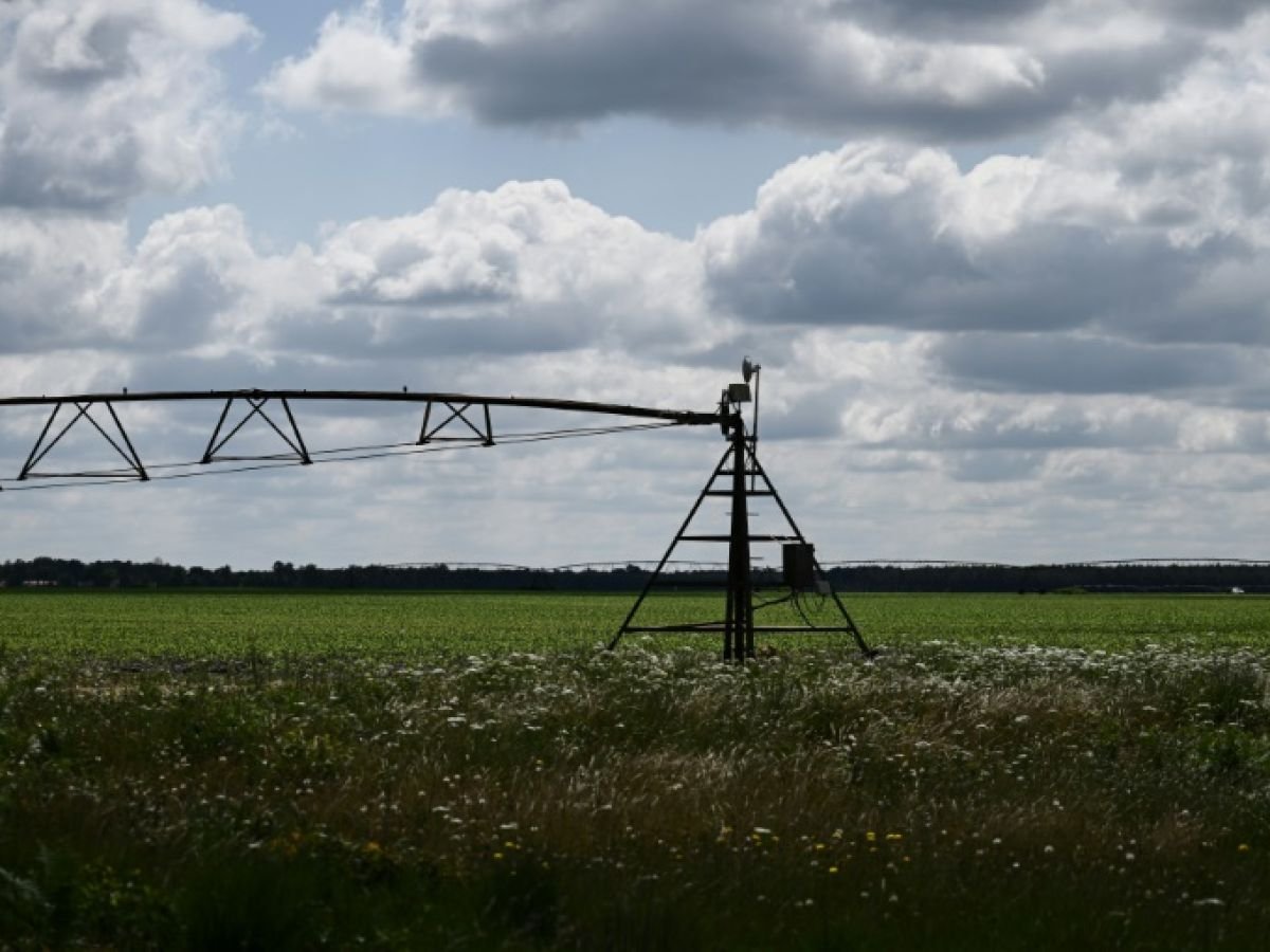 En France, des étés au régime sec si la gestion de l’eau ne change pas