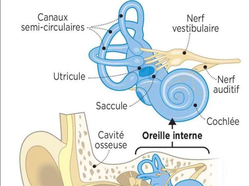 Comment se libérer des vertiges - Sciences et Avenir