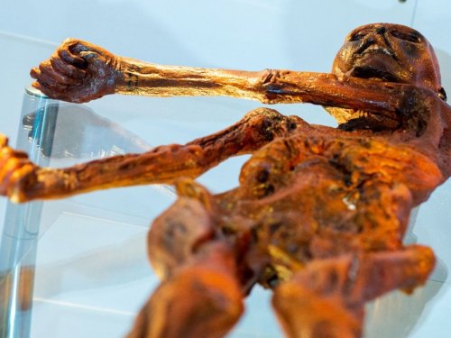 L’Homme des glaces Ötzi a été tatoué avec une aiguille en os ou en cuivre