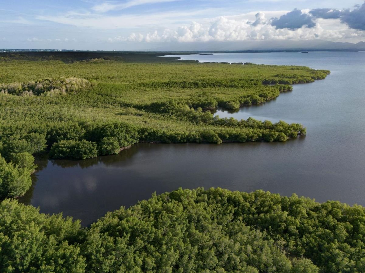 L’agriculture et l’industrie doivent changer en profondeur afin de respecter la nature, voici comment
