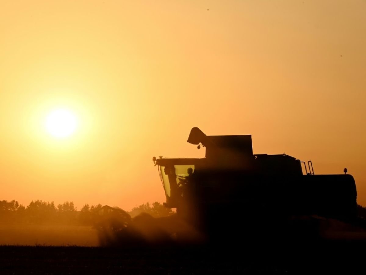 Agriculture: la loi Duplomb entrevoit le bout du tunnel parlementaire, sans éteindre la controverse
