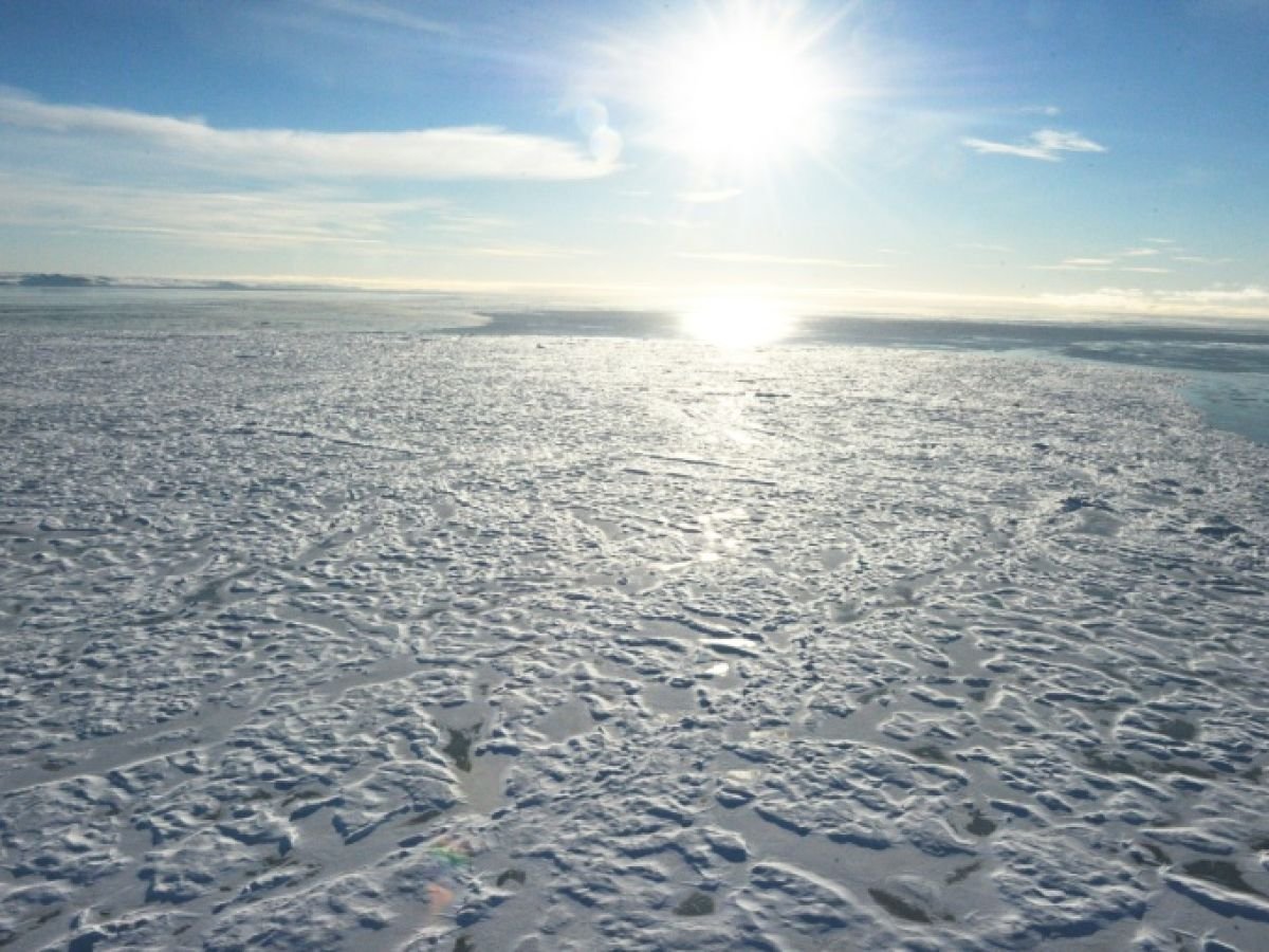 La banquise de l'Arctique à l'un de ses niveaux les plus bas jamais mesurés