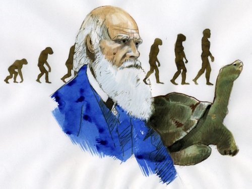 Evolution : Darwin a eu la plus féconde des intuitions - Sciences et Avenir