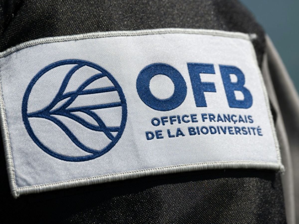 Pesticides: 3.000 litres saisis chez des particuliers malgré l’interdiction (OFB)