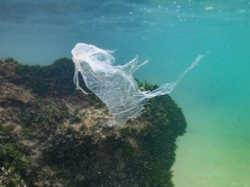 Des océans au corps humain, les microplastiques sont désormais partout - Sciences et Avenir