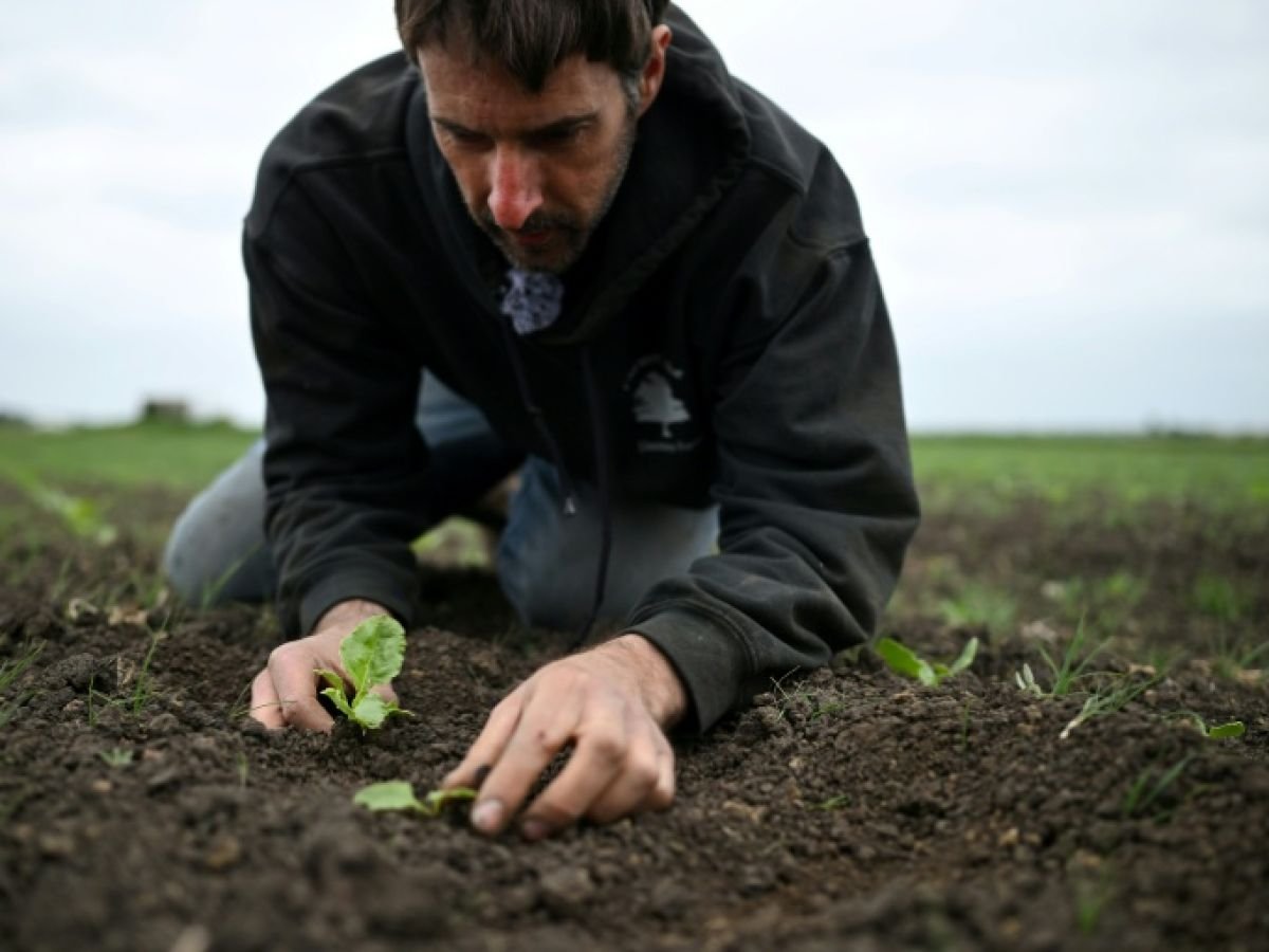 Au Royaume-Uni, un printemps exceptionnellement sec suscite les angoisses des agriculteurs