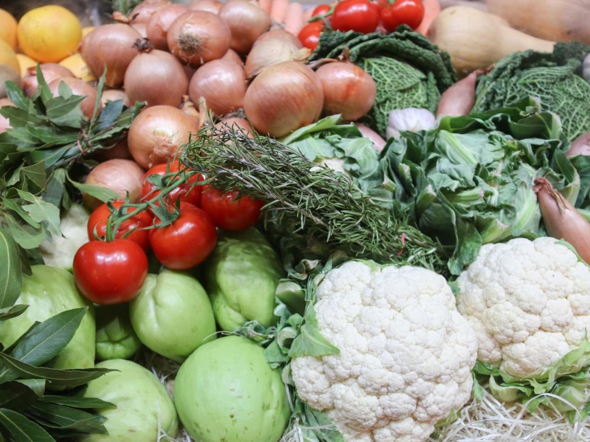 Salon de l’agriculture : comment arrêter les pollutions des engrais chimiques