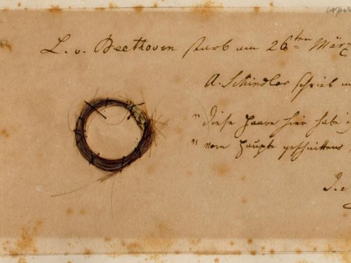 Ludwig van Beethoven : des analyses ADN éclaircissent sa mort et son passé - Sciences et Avenir
