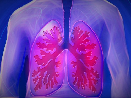 Le rôle du microbiote pulmonaire dans les infections respiratoires